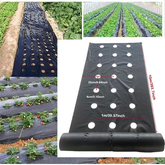 VEGMESH™ – FOLIE PENTRU MULCIRE (1x10m)