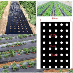 VEGMESH™ – FOLIE PENTRU MULCIRE